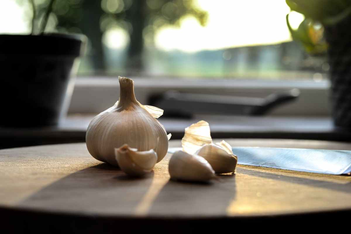 The health benefits of garlic